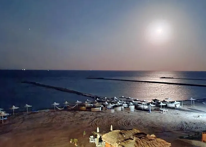 Beachview Turtles * Hurgada